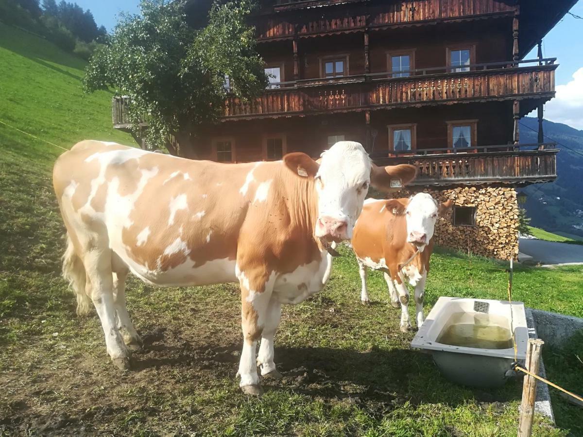 Bauernhaus Fankhauser Hippach Eksteriør billede